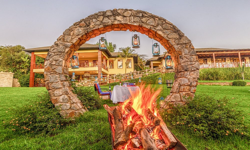 Serengeti Acacia Bliss